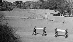 ���� ������ ��� ��� ����