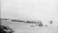 ���� ������ ��� ��� ����