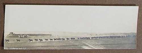 ���� ������ ��� ��� ����