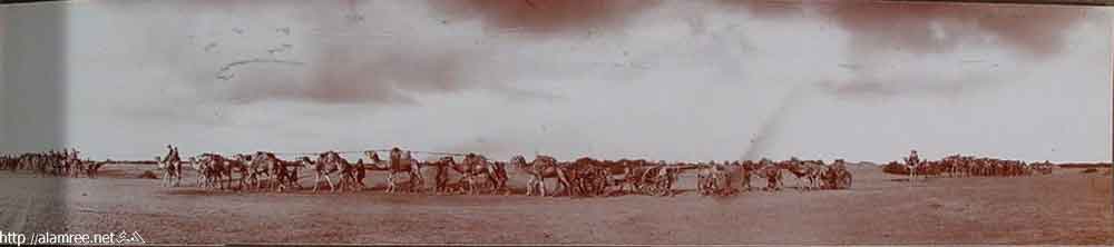 ���� ������ ��� ��� ����