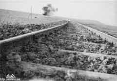 ���� ������ ��� ��� ����