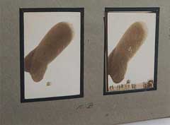 ���� ������ ��� ��� ����