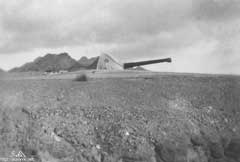 ���� ������ ��� ��� ����