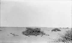 ���� ������ ��� ��� ����