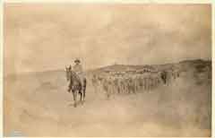 ���� ������ ��� ��� ����