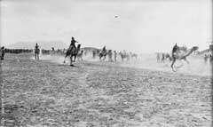 ���� ������ ��� ��� ����