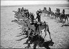 ���� ������ ��� ��� ����