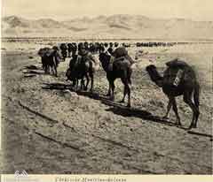 ���� ������ ��� ��� ����