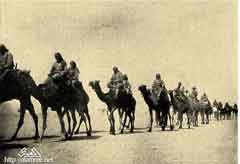 ���� ������ ��� ��� ����