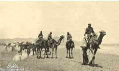 ���� ������ ��� ��� ����