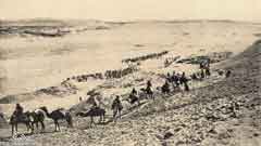 ���� ������ ��� ��� ����