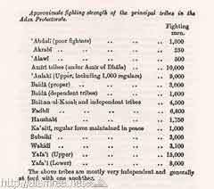 ���� ������ ��� ��� ����