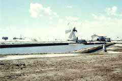 ���� ������ ������� �� ���������