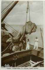 ���� ������ ��� ��� ����