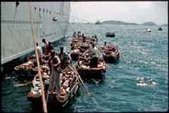 ���� ������ ��� ��� ����