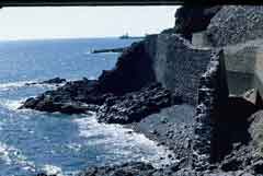 ���� ��� ������ ������ ��� ��� ����