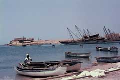 ���� ��� ������ ������ ��� ��� ����