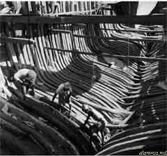 ���� ��� ������ ������ ��� ��� ����