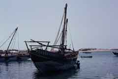 ���� ��� ������ ������ ��� ��� ����