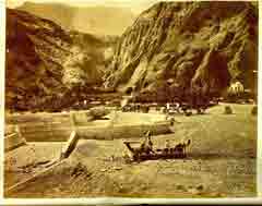 ���� ��� ������ ������ ��� ��� ����