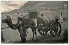 ���� ��� ������ ������ ��� ��� ����