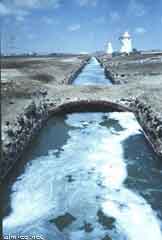 ���� ��� ������ ������ ��� ��� ����