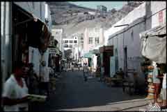 ���� ��� ������ ������ ��� ��� ����