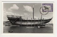 ���� ��� ������ ������ ��� ��� ����