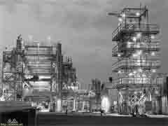 ���� ��� ������ ������ ��� ��� ����