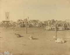 ���� ��� ������ ������ ��� ��� ����