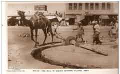 ���� ������ ��� ��� ����