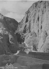 ���� ������ ��� ��� ���� ������