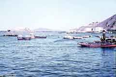 ����� ������� ��� 1962 