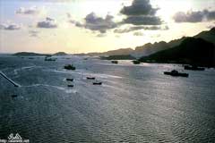 &nbsp;�������� ���1962�