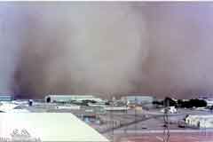  ����� ����� ���� ������� ������� 1962