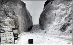 ���� ������ ��� ��� ���� ������