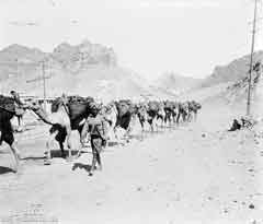 ���� ������ ��� ��� ���� ������