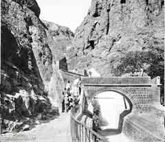 ���� ������ ��� ��� ���� ������