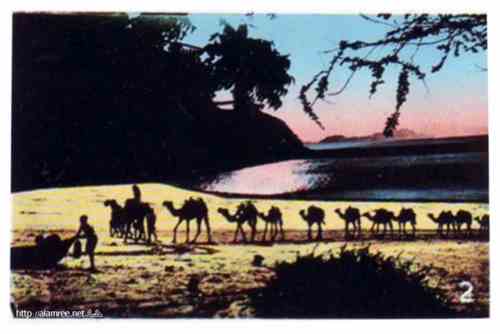 ���� ������ ��� ��� ����