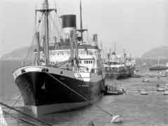 ���� ������ ��� ��� ����