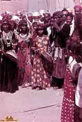 ���� ������ ��� ��� ����