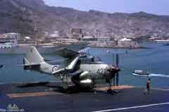 ���� ������ ��� ��� ����