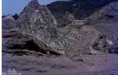 ���� ������ ��� ��� ����