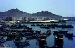 ���� ������ ��� ��� ����