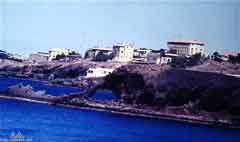 ���� ������ ��� ��� ����