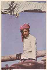 ���� ������ ��� ��� ����