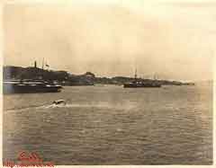 ���� ������ ��� ��� ����