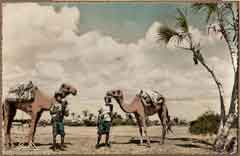 ���� ������ ��� ��� ����