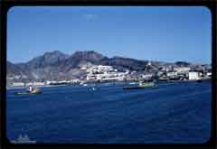 ���� ������ ��� ��� ����