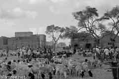 ���� ������ ��� ��� ����